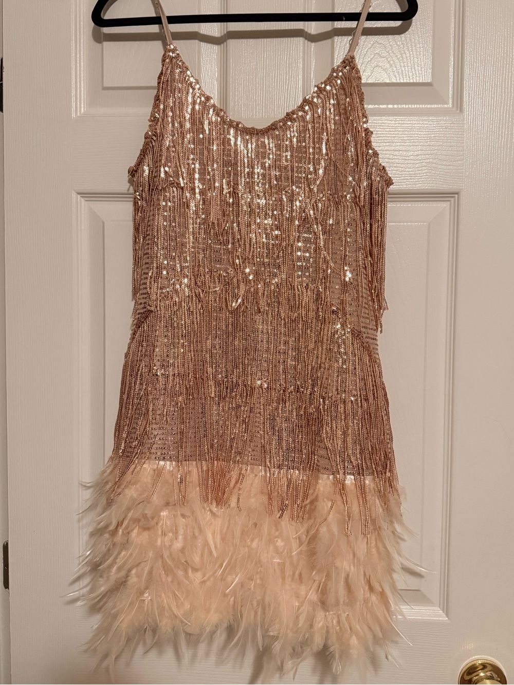 Austyn Tassel Feather Mini Dress In Champagne (new with tags, never worn) - Picture 5 of 7